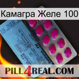Камагра Желе 100 35